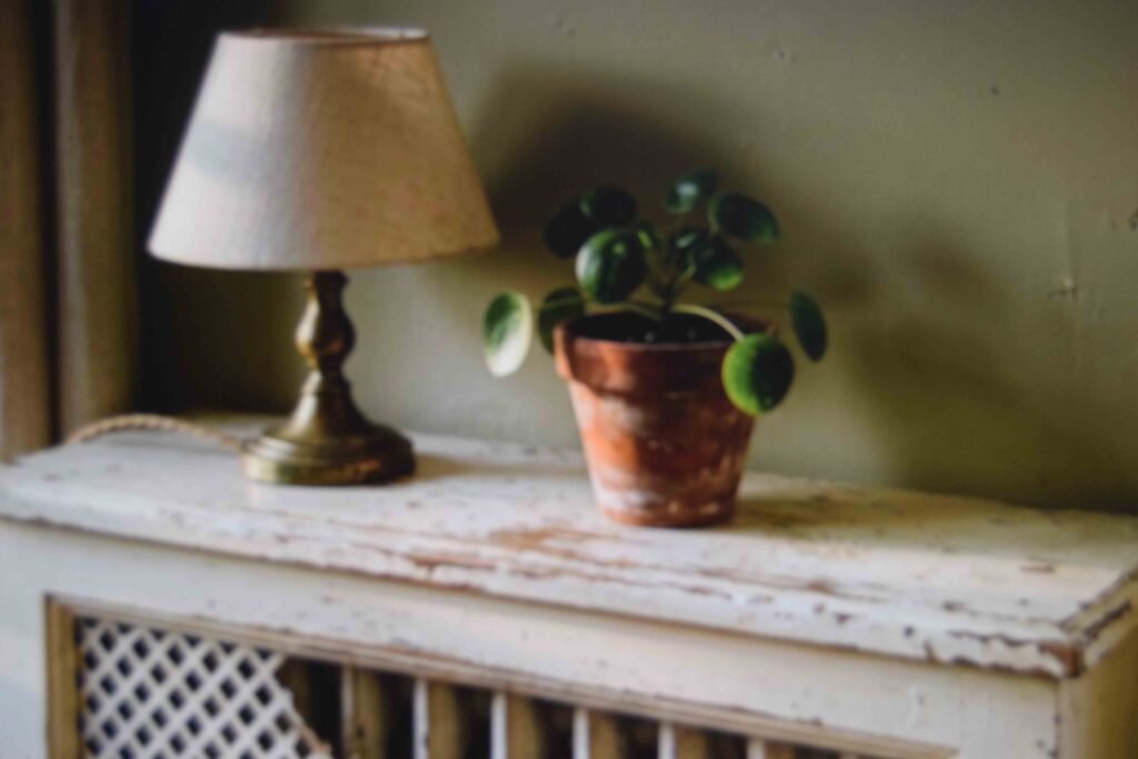 A vintage style radiator cover turning a modern rental radiator into a usable shelf
